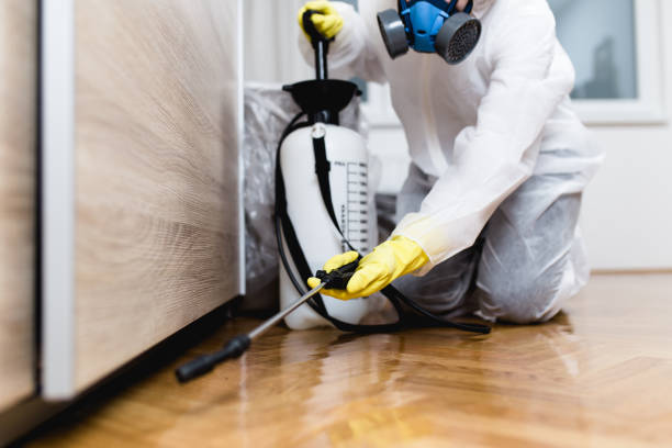 Best Best Pest Control Companies  in Marianna, FL