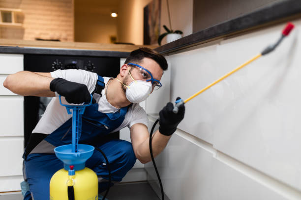 Best Pest Control Near Me in Marianna, FL