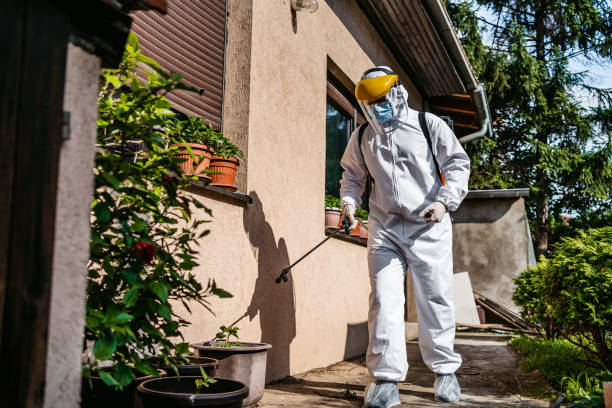 Best Best Pest Control Companies  in Marianna, FL