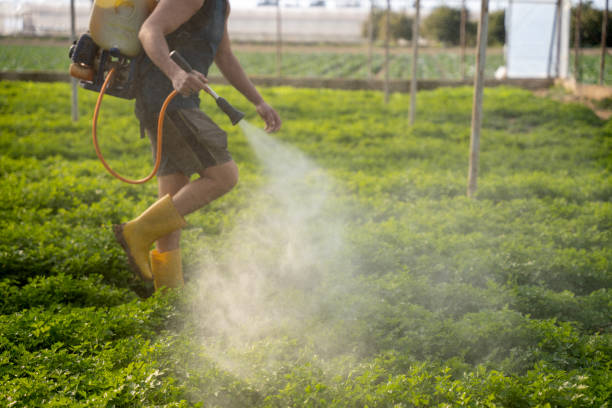 Best Commercial Pest Control Services  in Marianna, FL