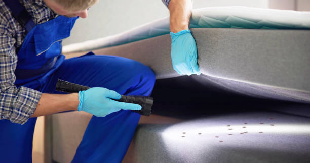 Best Wasp Removal Services  in Marianna, FL