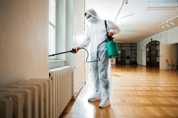 Best Local Pest Control Services  in Marianna, FL