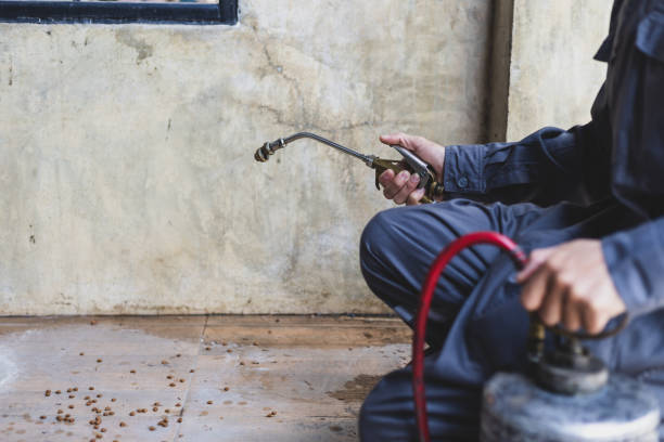 Best Pest Inspection Near Me  in Marianna, FL