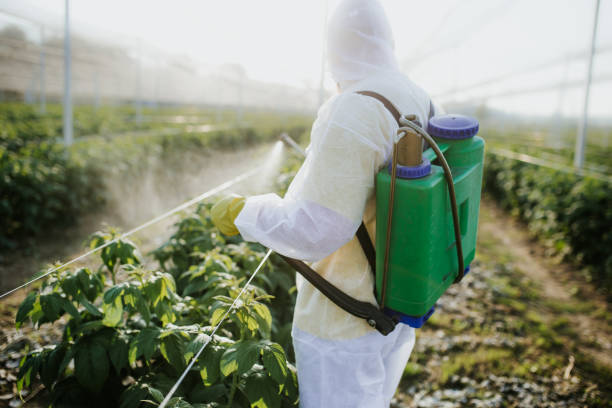 Best Local Pest Control Services  in Marianna, FL